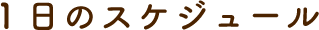 １日のスケジュール