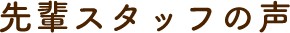 先輩スタッフの声